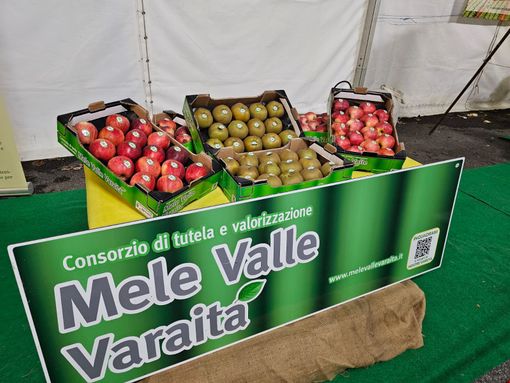 Al via la 95esima Mostra ortofrutticola “Città di Cuneo” tra prodotti locali, piatti tipici e musica [FOTO]