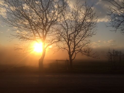 Caldo e sole in Granda: sarà un weekend estivo con massime prossime ai 30°