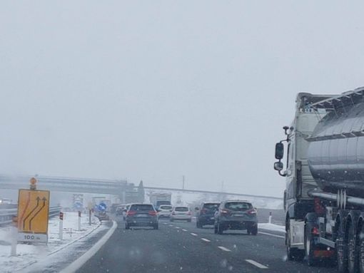 Immagine di repertorio