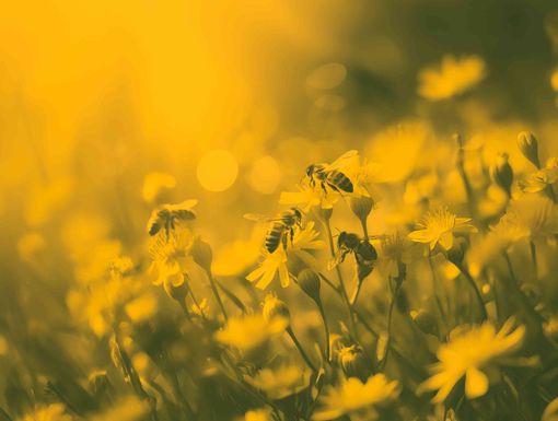 Immagine di repertorio Immagine di repertorio