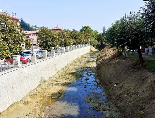 Il torrente Riddone a Corneliano