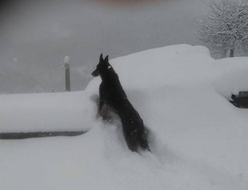 Bassa pressione e aria artica sulla provincia di Cuneo: in arrivo nevicate fino a bassa quota