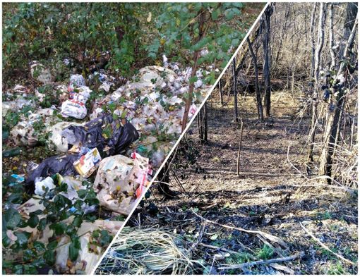 Nelle immagini, l'area prima e dopo l'intervento di bonifica