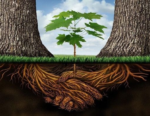 Per la Settimana del Patrimonio Culturale a Bra un incontro con i candidati sindaci Per la Settimana del Patrimonio Culturale a Bra un incontro con i candidati sindaci