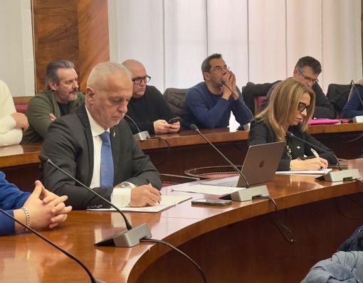 Il senatore Giorgio Maria Bergesio