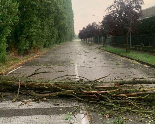 Negli scatti pubblicati da Marinella Sillano sulla sua pagina Facebook il pioppo cipressino caduto presso la zona artigianale di Montà, dove si sono verificati anche altri danni