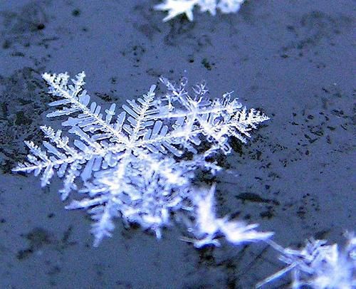 Maltempo, ieri caduti oltre 60 centimetri di neve al Colle dell’Agnello