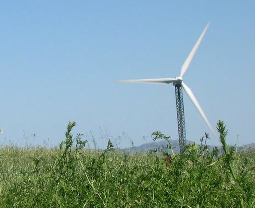 Immagine di repertorio