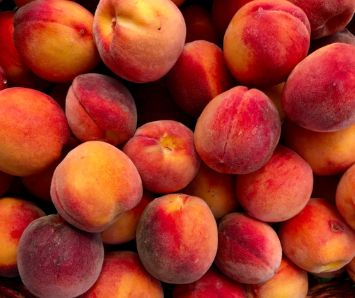 Un’estate di qualità per la frutta piemontese e raccolte promettenti Un’estate di qualità per la frutta piemontese e raccolte promettenti