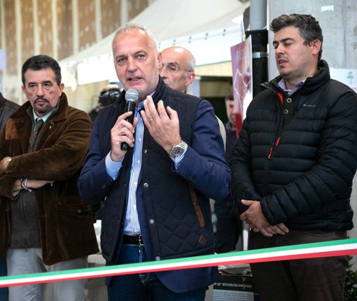 Il senatore Giorgio Maria Bergesio (Lega)