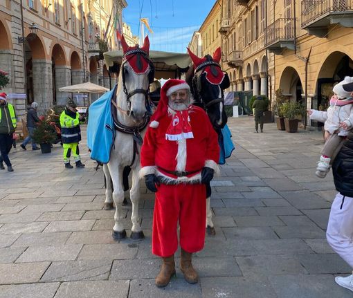 Cavalli sfruttati per gli eventi natalizi a Cuneo? L'azienda agli animalisti: "Benessere garantito. Proteste ingiuste"
