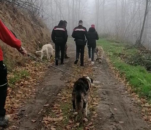 I tre cani sequestrati a Pramollo I tre cani sequestrati a Pramollo