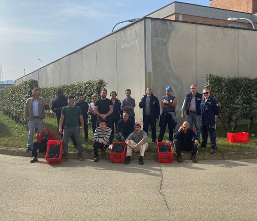 Alba: conclusa la vendemmia all’interno del carcere “G. Montalto”
