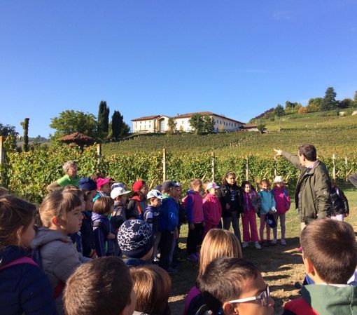 Gli alunni delle classi seconde della Scuola Primaria "G. Rodari" di Alba nei vigneti della Scuola Enologica, accompagnati dal prof. Binello