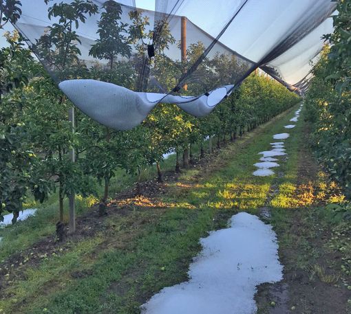 Confagricoltura Cuneo: “Polizze monorischio per ridurre i costi, superare i ritardi e far fronte ai cambiamenti climatici”