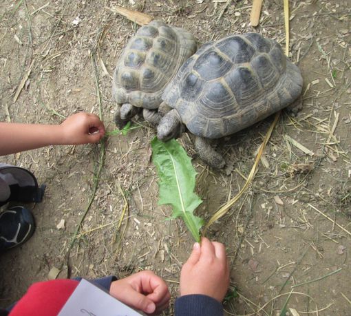 Avventurosa esperienza per i bambini della scuola primaria di Murazzano al Parco Safari