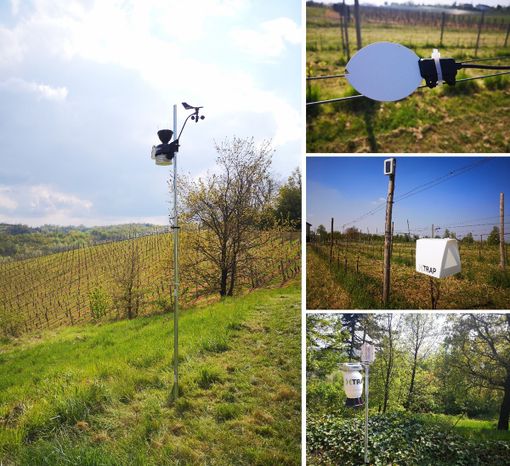 Il futuro in vigneto: la tecnologia al servizio della sostenibilità Il futuro in vigneto: la tecnologia al servizio della sostenibilità