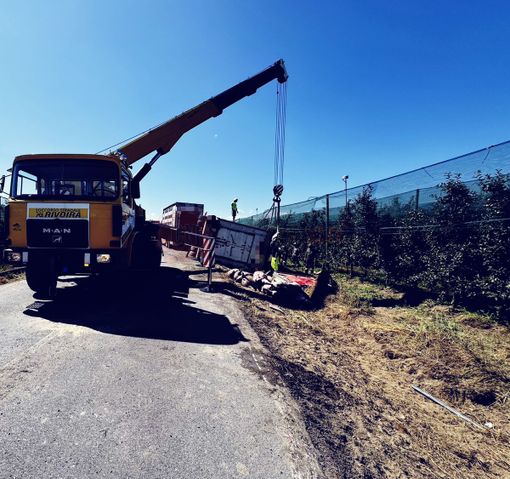 Rimorchio carico di maiali si ribalta a Lagnasco: morti dieci animali Rimorchio carico di maiali si ribalta a Lagnasco: morti dieci animali