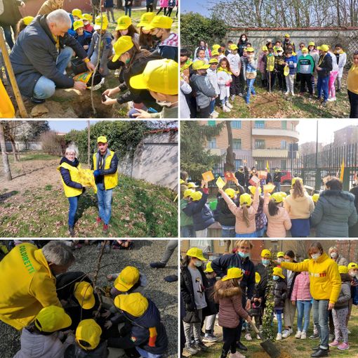 Giornata delle foreste, Coldiretti Piemonte: "Gestione professionale dei boschi fondamentale per ambiente e sicurezza della popolazione”