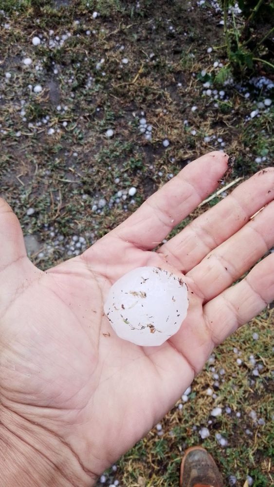 Continuano le grandinate: danni alle colture anche tra Astigiano e Alessandrino Continuano le grandinate: danni alle colture anche tra Astigiano e Alessandrino