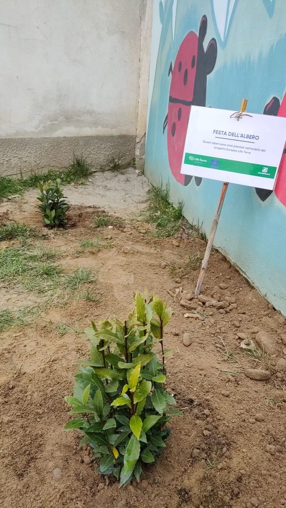 Bra: nuove piante alla Scuola don Milani