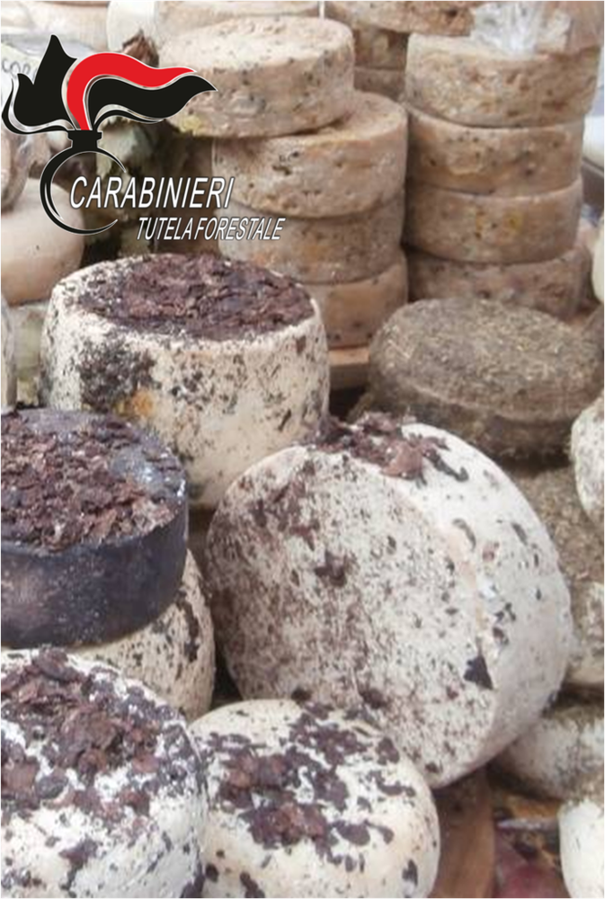 Fiera del Tartufo di Alba: ritirati dai carabinieri forestali formaggi per oltre 15mila euro Fiera del Tartufo di Alba: ritirati dai carabinieri forestali formaggi per oltre 15mila euro