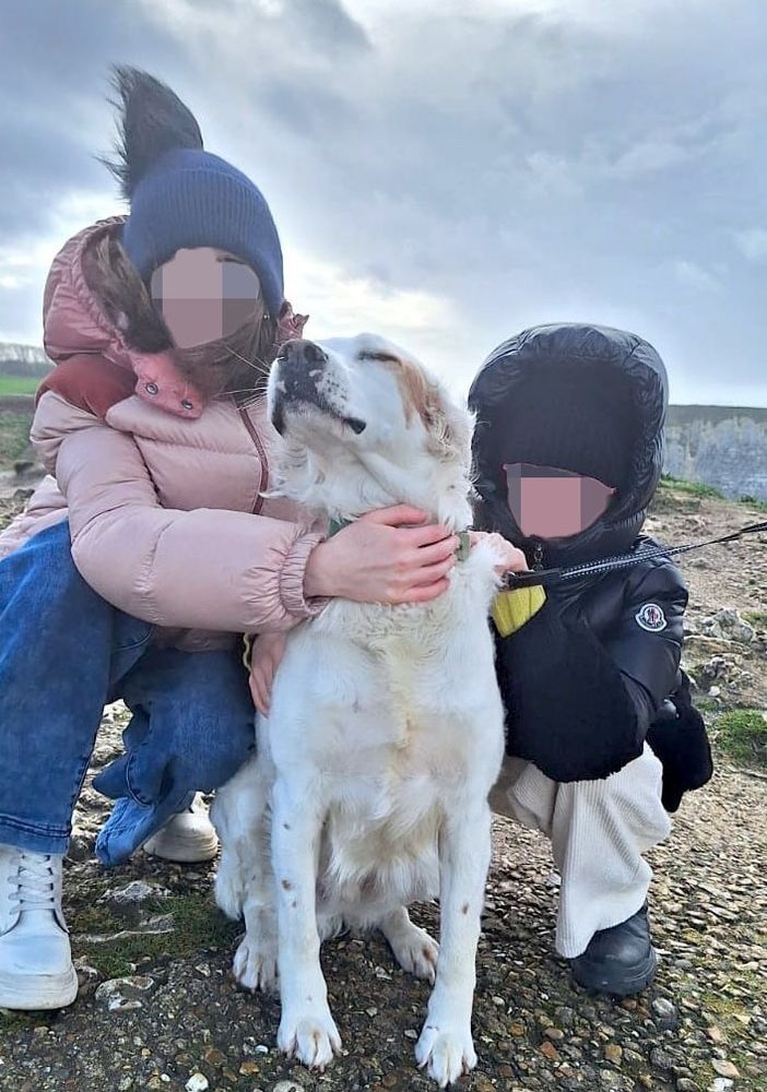 Ted, ucciso con una fucilata nelle campagne di Castellinaldo Ted, ucciso con una fucilata nelle campagne di Castellinaldo