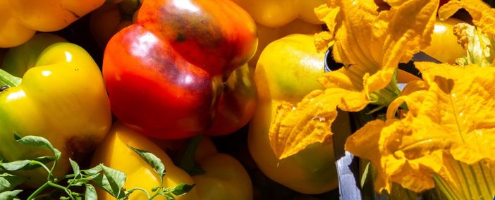 Import, Coldiretti Cuneo: "I cibi esteri rispettino salute, lavoro e ambiente"