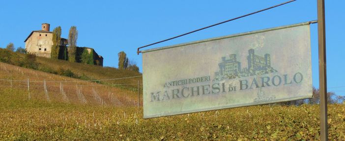 I vigneti della storica cantina Marchesi di Barolo (foto dal sito web aziendale) I vigneti della storica cantina Marchesi di Barolo (foto dal sito web aziendale)