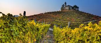 Immagine di repertorio