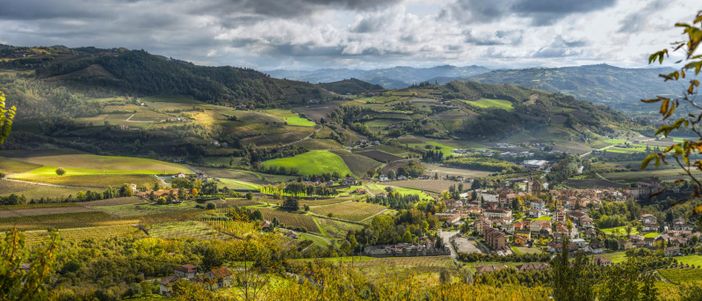 I vigneti dell'Alta Langa I vigneti dell'Alta Langa