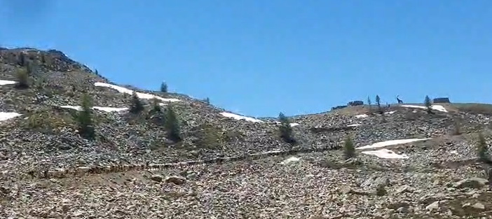 Da Torino a Cuneo per vivere la transumanza dalla Valle Stura a Mollieres in Francia [VIDEO]