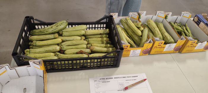 Cuneo, una rete contro spreco alimentare e povertà. Associazioni e Caritas uniscono le forze per sostenibilità, inclusione e solidarietà