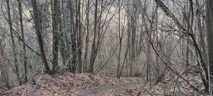 A Sommariva del Bosco si inaugura 'Roero in Posa' A Sommariva del Bosco si inaugura 'Roero in Posa'