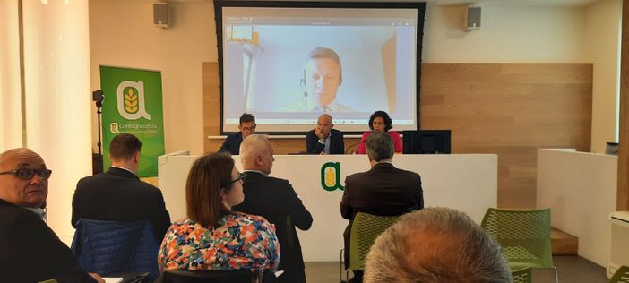 "Una catastrofe". Se la peste suina arrivasse in Granda, danni per oltre 650 milioni all'anno "Una catastrofe". Se la peste suina arrivasse in Granda, danni per oltre 650 milioni all'anno