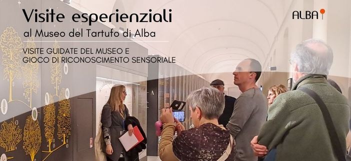 Alba: visite esperienziali al Museo del Tartufo