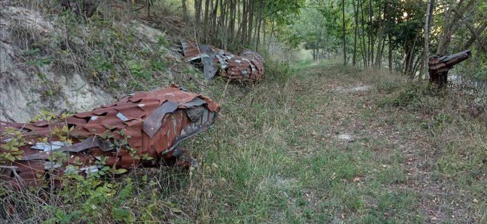 Il serpente attende i curiosi sul sentiero