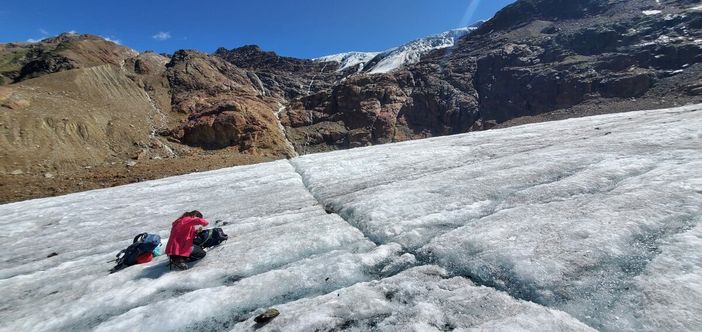 Le "pulci dei ghiacciai": ancora poco conosciute e già minacciate