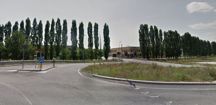 Saranno probabilmente abbattuti i pioppi dell'area industriale