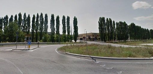 Pioppi da abbattere nell'area industriale di Montà, Italia Nostra: "Si proceda con cautela" Pioppi da abbattere nell'area industriale di Montà, Italia Nostra: "Si proceda con cautela"
