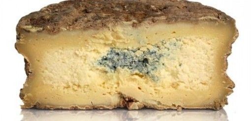 Richiami per Castelmagno Dop a rischio contaminazione da Escherichia Coli