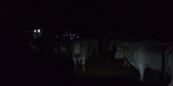 Margaro non rientra bloccato in un sentiero rovinato dall'alluvione, scattano le ricerche: ritrovato in valle Gesso nella notte
