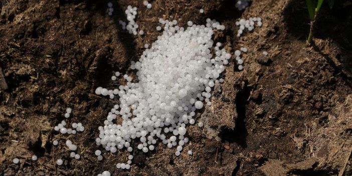 Coldiretti Cuneo: "Bene rinvio divieto urea, ora accelerare sul biodigestato" Coldiretti Cuneo: "Bene rinvio divieto urea, ora accelerare sul biodigestato"