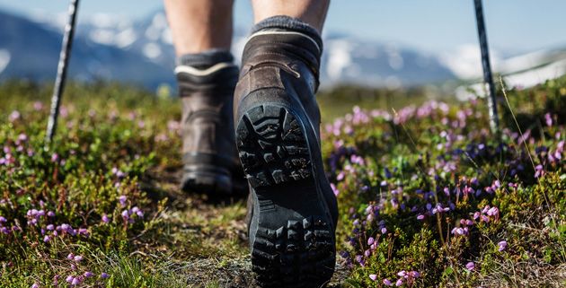 Immagine di repertorio