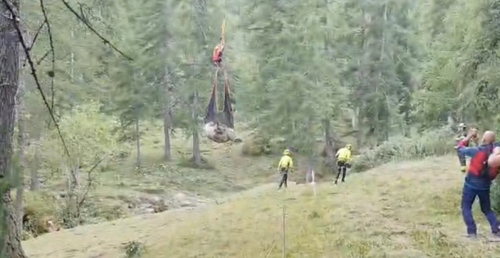 Briga Alta, i Vigili del Fuoco salvano un bovino ferito a una zampa