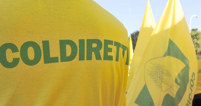 Prezzi, Coldiretti Piemonte: definitivo lo stop a speculazioni sul cibo