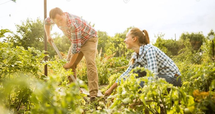 Giovani in agricoltura, Coldiretti Cuneo: "Nuova edizione Oscar Green al via"