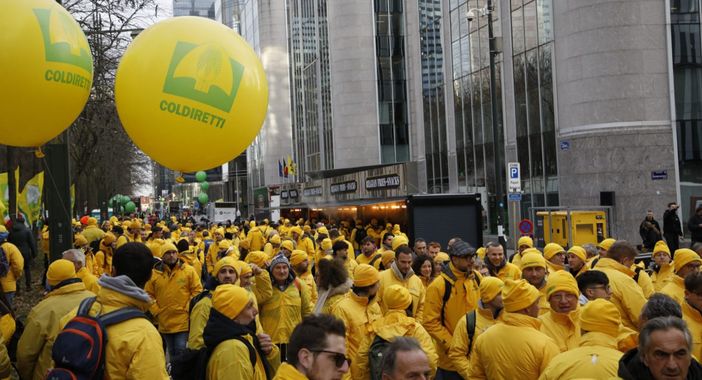 Foto di repertorio - pagina FB Coldiretti)