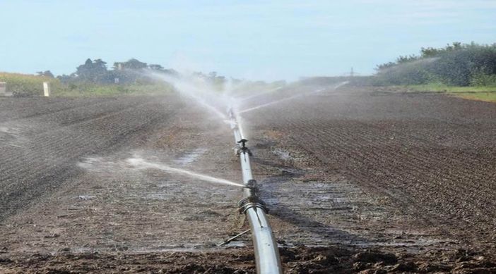Coldiretti Piemonte: "Scarsità piogge sud Piemonte, necessarie le irrigazioni di soccorso” Coldiretti Piemonte: "Scarsità piogge sud Piemonte, necessarie le irrigazioni di soccorso”