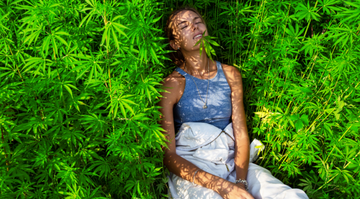 La cannabis è legale in Italia?